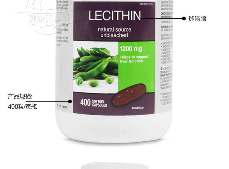 lecithin-14