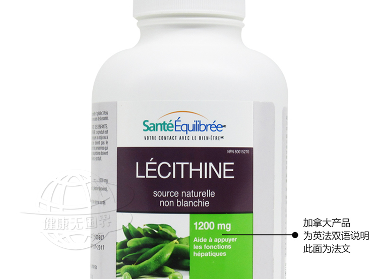 lecithin-15